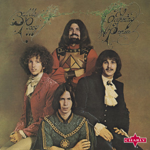 ดาวน์โหลดและฟังเพลง Todd's Tune พร้อมเนื้อเพลงจาก The Bubble Puppy