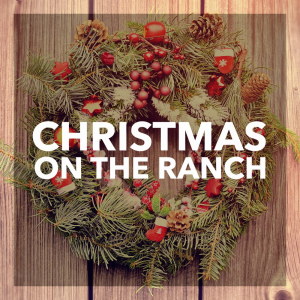 Listen to Christmas to Christmas (Live) song with lyrics from Lee Greenwood