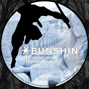 Listen to Brainless Snow song with lyrics from Husn Bstrd