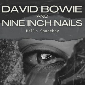 收听Nine Inch Nails的Under Pressure (Live)歌词歌曲
