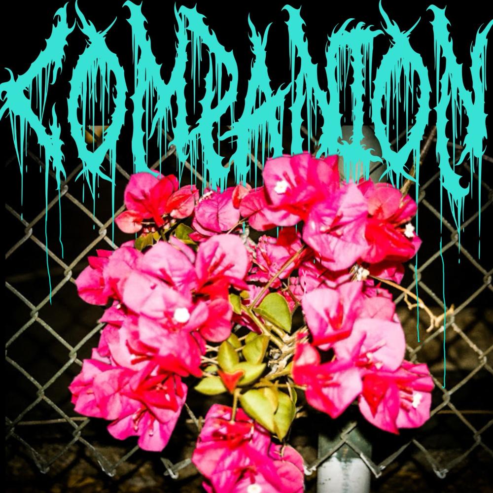 Companion