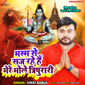 Listen to Bhasm Se Saje Hain Mere Bhole Tripurari (Hindi) song with lyrics from Vicky Babua