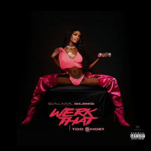 ดาวน์โหลดและฟังเพลง WERK THAT (feat. Too $hort) (Explicit) พร้อมเนื้อเพลงจาก Salma Slims