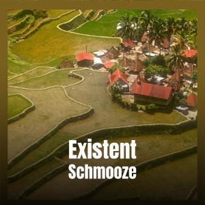 Various的专辑Existent Schmooze