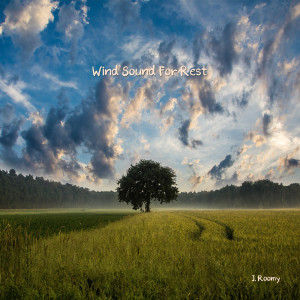 收听J.Roomy的Wind Sound (White Noise, ASMR, Nature Sound)歌词歌曲