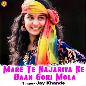 Listen to Mare Te Najariya Ke Baan Gori Mola song with lyrics from Jay Khande