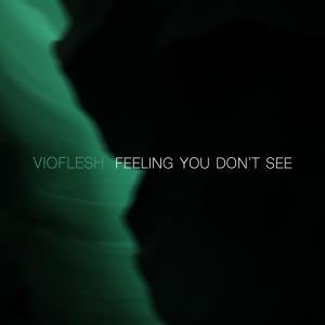 Listen to With You song with lyrics from vioflesh