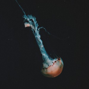 收聽Jevin Julian的Save Me, Poseidon歌詞歌曲