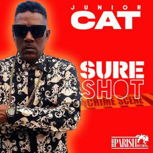 Listen to SURE SHOT song with lyrics from Junior Cat