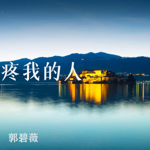 Listen to 疼我的人 (伴奏) song with lyrics from 郭碧薇