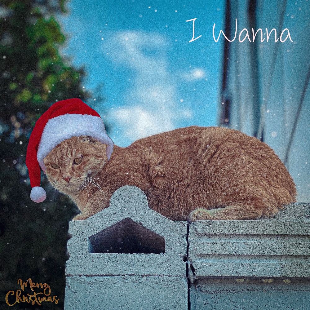 I Wanna (Inst.)