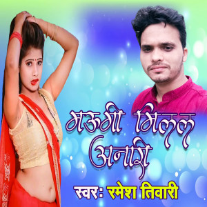 Album Maugi Milal Anari from Ramesh Tiwari