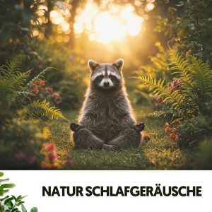 อัลบัม Natur Schlafgeräusche: Ruhiges Nachtgeflüster ศิลปิน Música Relajante Para Leer