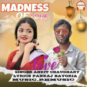 Ankit Chaudhary的专辑Madness Of Love