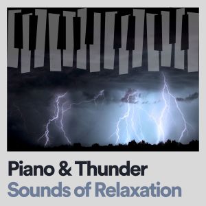 Listen to Piano & Thunder Sounds of Relaxation, Pt. 18 song with lyrics from Thunderstorms