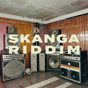 อัลบัม Skanga Riddim ศิลปิน Shy Fx