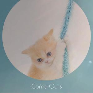 收聽Trie Winy的Come Ours歌詞歌曲