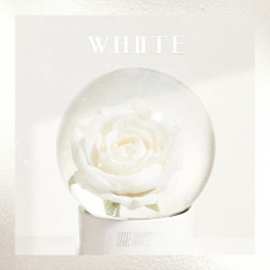 THE BOYZ的專輯THE BOYZ Special Single 'White'