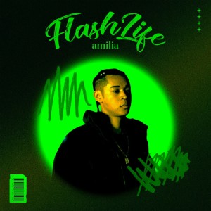 Listen to Flash Life song with lyrics from Amilia