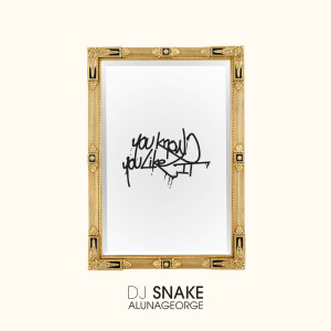 อัลบัม You Know You Like It ศิลปิน DJ Snake