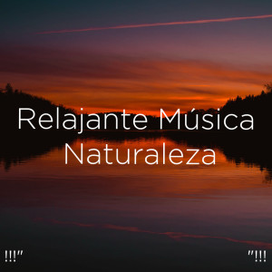 ดาวน์โหลดและฟังเพลง Piano Nature Sounds พร้อมเนื้อเพลงจาก Deep Sleep
