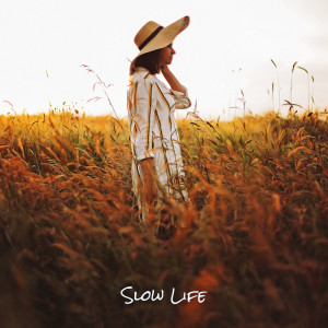 Night Music Oasis的专辑Slow Life (Incredible Calm with Jazz)