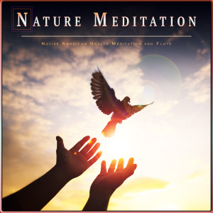 ดาวน์โหลดและฟังเพลง Nature Music Meditation พร้อมเนื้อเพลงจาก Native American Flute