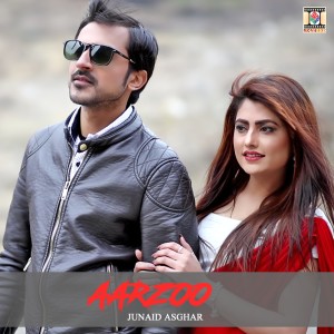 收聽Junaid Asghar的Aarzoo歌詞歌曲