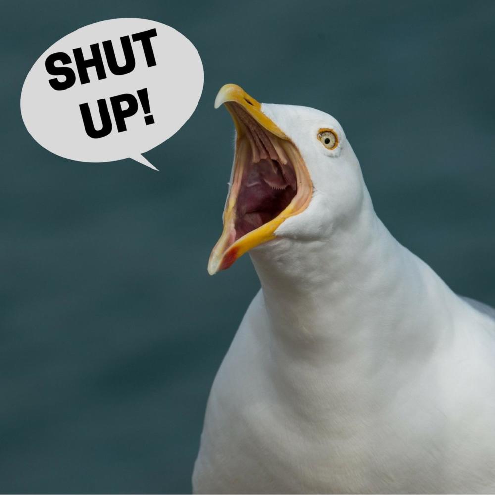 Shut Up! (Explicit)