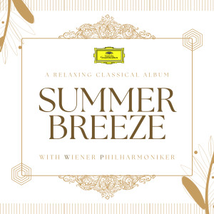 ดาวน์โหลดและฟังเพลง Brahms: Symphony No. 3 in F Major, Op. 90 - 3. Poco allegretto พร้อมเนื้อเพลงจาก Vienna Philharmonic Orchestra