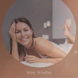 อัลบัม Want Whether ศิลปิน Various