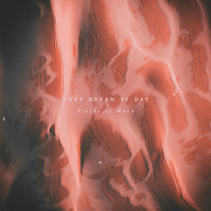 Listen to You Have Done Well song with lyrics from They Dream By Day