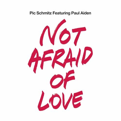 Not Afraid of Love (Instrumental Mix)