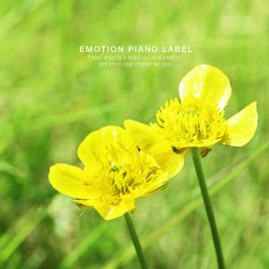 Album Relaxing Piano to Help Pregnancy (New Age Collection) from Korea Various Artists
