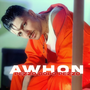 Album Pezzo dopo pezzo from Awhon