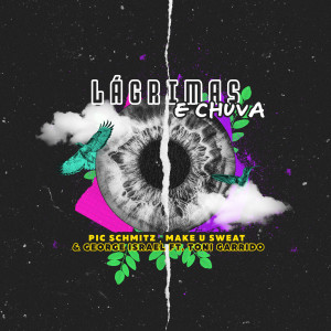 Pic Schmitz的專輯Lágrimas e Chuva
