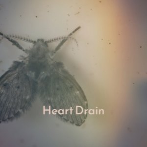 Album Heart Drain from 