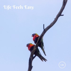 อัลบัม Life Feels Easy (Alternate Version) ศิลปิน Lloyd Williams