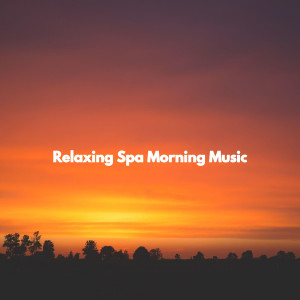 Elevator Music Deluxe的專輯Relaxing Spa Morning Music