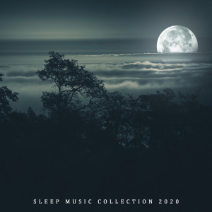 收聽Trouble Sleeping Music Universe的Nightime Music歌詞歌曲