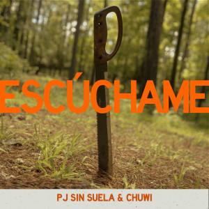 Listen to Escúchame song with lyrics from Pj Sin Suela