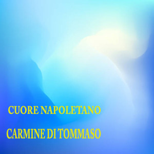 Listen to Brivido song with lyrics from Carmine Di Tommaso