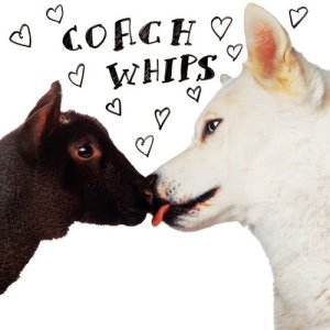 ดาวน์โหลดและฟังเพลง You Gonna Get It พร้อมเนื้อเพลงจาก Coachwhips
