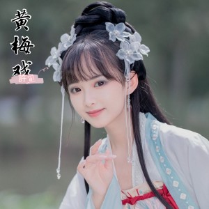 Album 黄梅戏 from 许宣