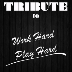 收聽Cover Crew的Work Hard, Play Hard歌詞歌曲
