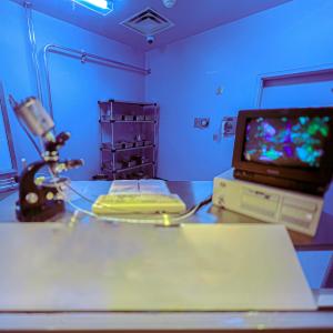 收聽Gene Ross的Death of an Introvert歌詞歌曲