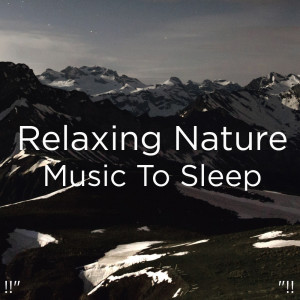ดาวน์โหลดและฟังเพลง Water Sounds Meditation พร้อมเนื้อเพลงจาก Yoga