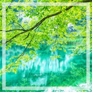 Various Artists的专辑Meditation Time to Fill Blue Sensibility (Meditation Piano)