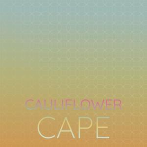 收聽Rudal Olman的Cauliflower Cape歌詞歌曲