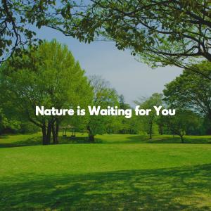 Klaviermusik Klassiker的專輯Nature is Waiting for You